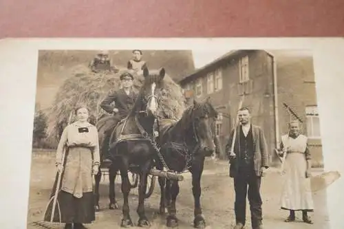 tolles altes Foto - Bauer mit Pferdefuhrwerk - nach Heuernte  1910-30