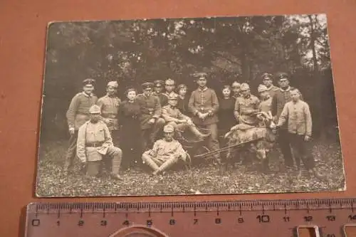 Tolles altes Gruppenfoto deutsche und KuK Soldaten - Ziegenwagen, Frauen