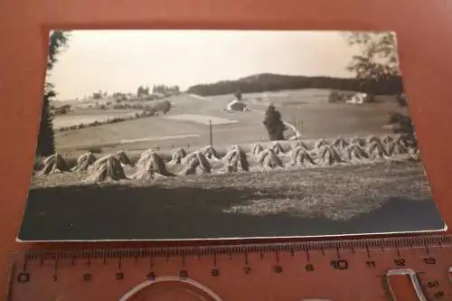 Tolles altes Foto - Landschaft Heustapel  - Nähe Linz 20-30er Jahre ?