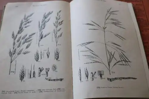 drei tolle alte Gartenbücher - Lehrmeister Bibliothek  1911 und anderes 