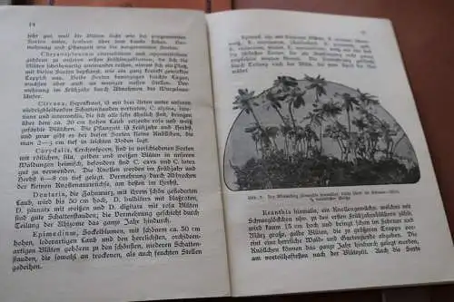 drei tolle alte Gartenbücher - Lehrmeister Bibliothek  1911 und anderes