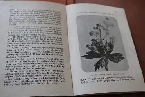 drei tolle alte Gartenbücher - Lehrmeister Bibliothek  1911 und anderes 
