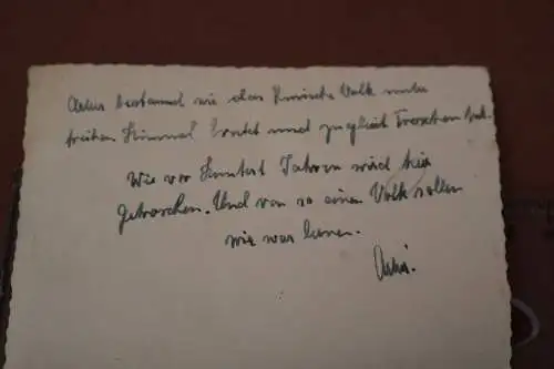 altes Foto - russische Frauen bei der Getreidernte 