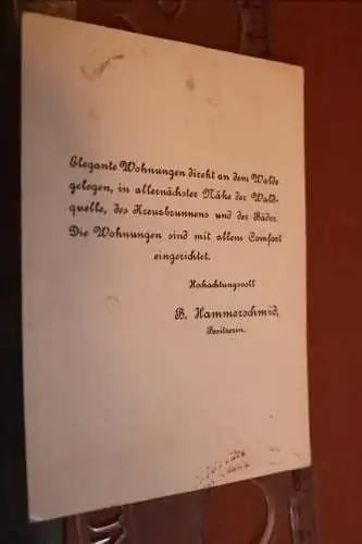 tolle alte Werbekarte - Villa Hammerschmid Marienbad, Alleegasse20-30er Jahre ?