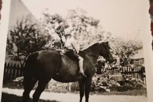 tolles altes Foto - Junge auf einem Pferd in Eckbruch - Brilon ??? 30-40er Jahre