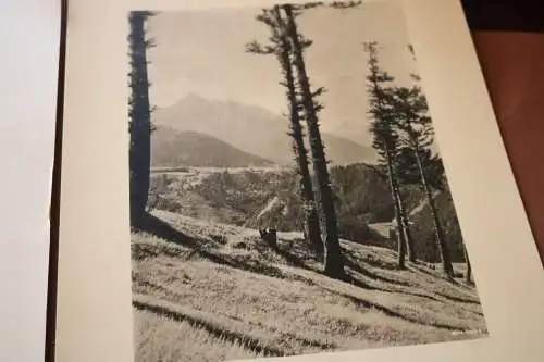 zwei tolle alte Fotos - Korn-Künstler-Fotos ?  2640 Bergausblick u 2686 Watzmann