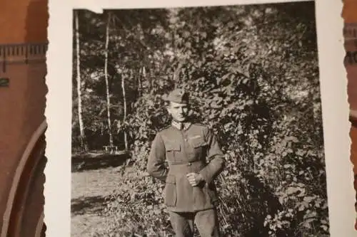 Tolles altes Foto  Portrait deutsche Soldat - unbekannte Kragenspiegel ?