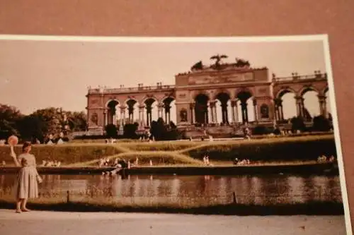 Tolles altes Foto - Schönbrunn Gloriette  40-50er Jahre ?