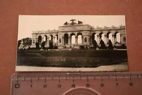 Tolles altes Foto - Schönbrunn Gloriette  30-50er Jahre ?