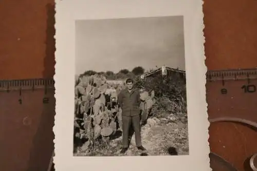 Tolles altes Foto - Soldat der Flakabteilung auf Sizilien  1941