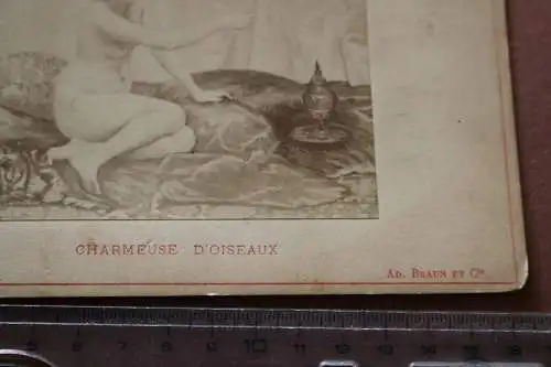 tolles altes Kabinettfoto  Souvenier - Erotik - Charmeuse D´oiseaux 