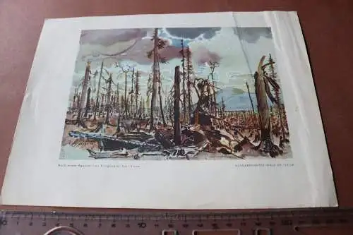 alter Druck nach Aquarell - Ausgebrannter Wald bei Salla - Finnland 