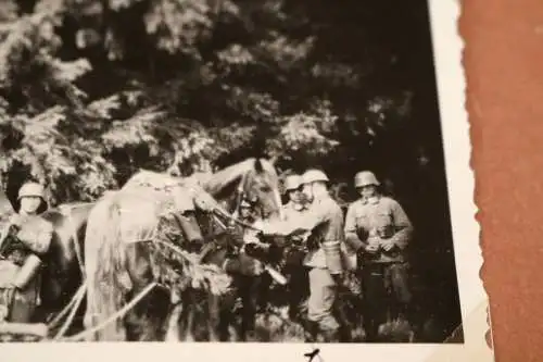 Tolles altes Foto Soldaten MG-Komp. mit getarnten Pferden - 1936