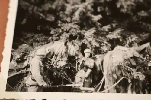 Tolles altes Foto Soldaten MG-Komp. mit getarnten Pferden - 1936