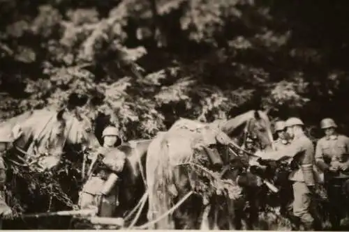 Tolles altes Foto Soldaten MG-Komp. mit getarnten Pferden - 1936