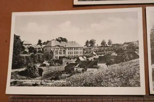 drei alte Karten Gruppenschule Sudeten 2 Groß-Glockersdorf Sudetenland 