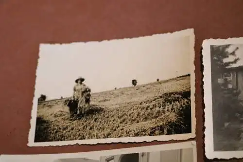 fünf alte Fotos - BDM Mädels - Landarbeit usw.