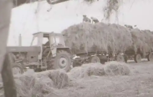 vier tolle alte Negative - Landwirte mit Traktor bei der Heuernte