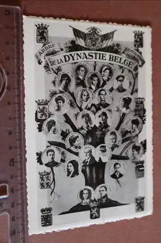 tolle alte Karte  Stammbaum de la Dynastie Belge  30-40er Jahre ?