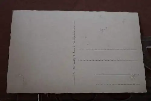 tolle alte Karte -  Wernigerode Harz - Ansichten - 30-50er Jahre ???