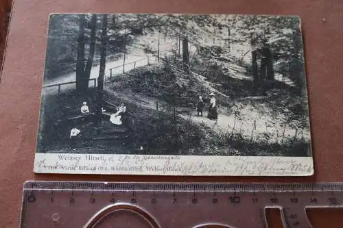 tolle alte Karte - Weisser Hirsch  Dresden  - An der Schwesternquelle 1905 