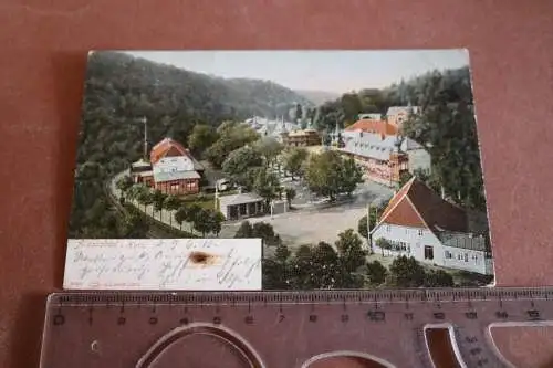 tolle alte Karte -  Ansicht Alexisbad Harz   1910 