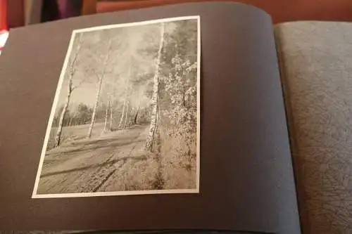 tolles altes Album 122 Fotos - viel Landschaft, Orte, Gebäude, Tiere 