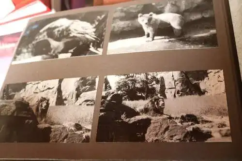 tolles altes Album 122 Fotos - viel Landschaft, Orte, Gebäude, Tiere 