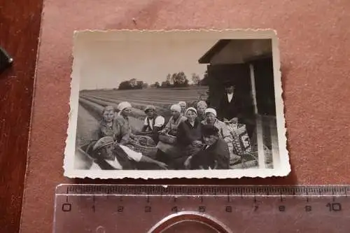 tolles altes Foto - Gruppe Landfrauen - Spargel stechen - Spargelfeld 30-40er Ja