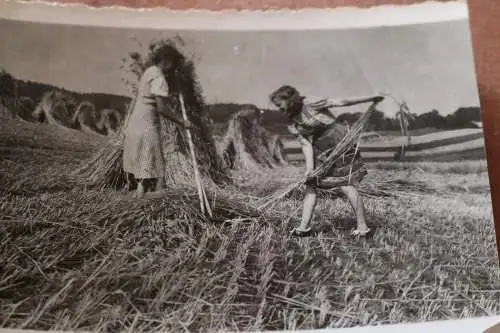 tolles altes Foto - zwei Frauen bei der Landarbeit - Garben aufstellen
