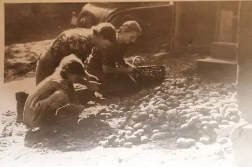 altes Foto - Frauen und Kind sammeln Kartoffeln auf - 30-50er Jahre ?