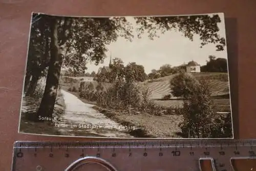 tolle alte Karte  - Partie im Stadtpark  - Sorau - 1928