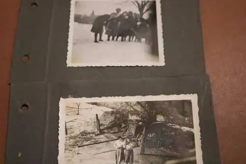 neun tolle alte Fotos - Mädels - BDM - 30-40er Jahre 