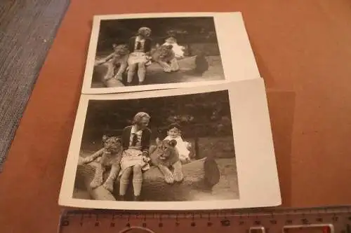 zwei tolle alte Fotos - Kinder mit Löwenbabys , Ort ??? 20-30er Jahre 