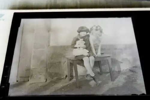 tolles altes Glasnegativ - Mädchen mit Puppe und Hund im Arm