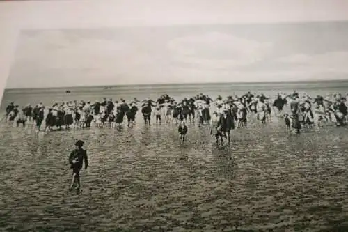 toller alter Druck - Nordseebad Büsum - Wattenläufer -1910-30 ???