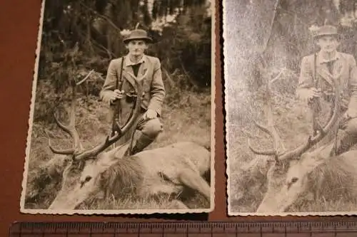 Zwei alte Fotos - Jäger mit erlegtem Hirsch -  30-50er Jahre