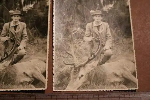 Zwei alte Fotos - Jäger mit erlegtem Hirsch -  30-50er Jahre