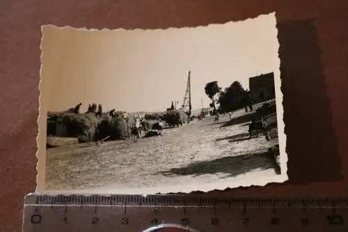 Tolles altes Foto -  Heuverladung auf Binnenfrachtschiff - Brake Unterweser 30-5