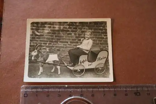 Tolles altes Foto -   Mädchen im Ziegenwagen - Fahrt ins Blaue