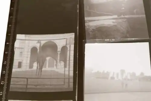 elf tolle alte Negative - Urlaub in Berlin - 50-60er Jahre ?