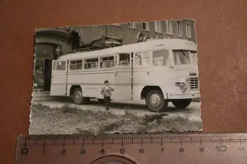 altes Foto - Oldtimer Bus  Ikarus 31 ??