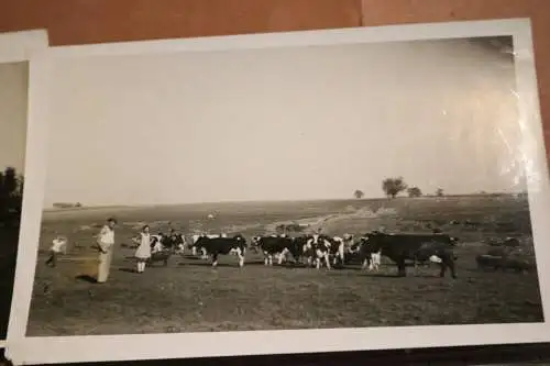 zwei alte Fotos  eines Auswanderer in die USA Wisconsin  20-30er Jahre ?