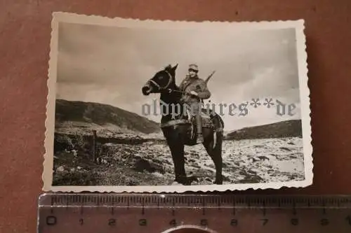 tolles altes Foto - Soldat auf einem Muli - Gebirgsjäger ??? 