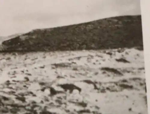 tolles altes Foto - Soldat auf einem Muli - Gebirgsjäger ??? 