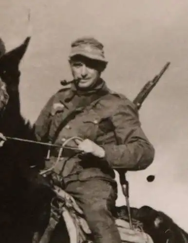 tolles altes Foto - Soldat auf einem Muli - Gebirgsjäger ??? 