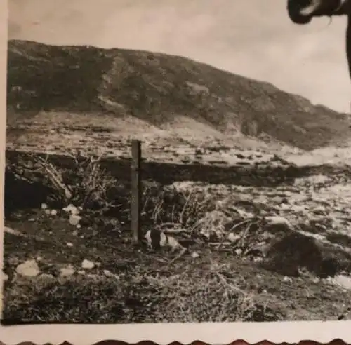 tolles altes Foto - Soldat auf einem Muli - Gebirgsjäger ??? 