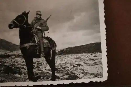 tolles altes Foto - Soldat auf einem Muli - Gebirgsjäger ??? 