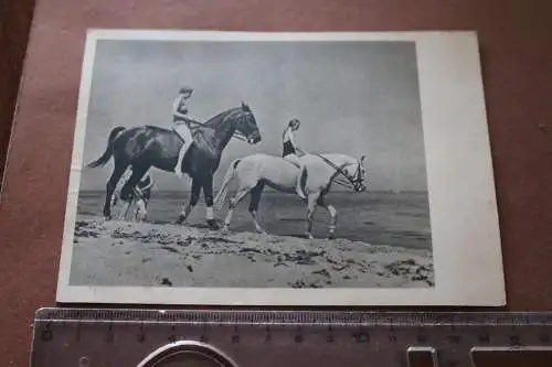 Tolle alte Karte - Frauen mit Pferden am Strand - H.W. Berger - 30-40er Jahre