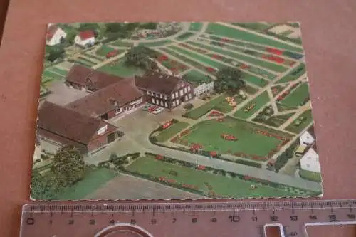 tolle alte Karte  Essmannshof Dekcbergen Tulpen - 1967